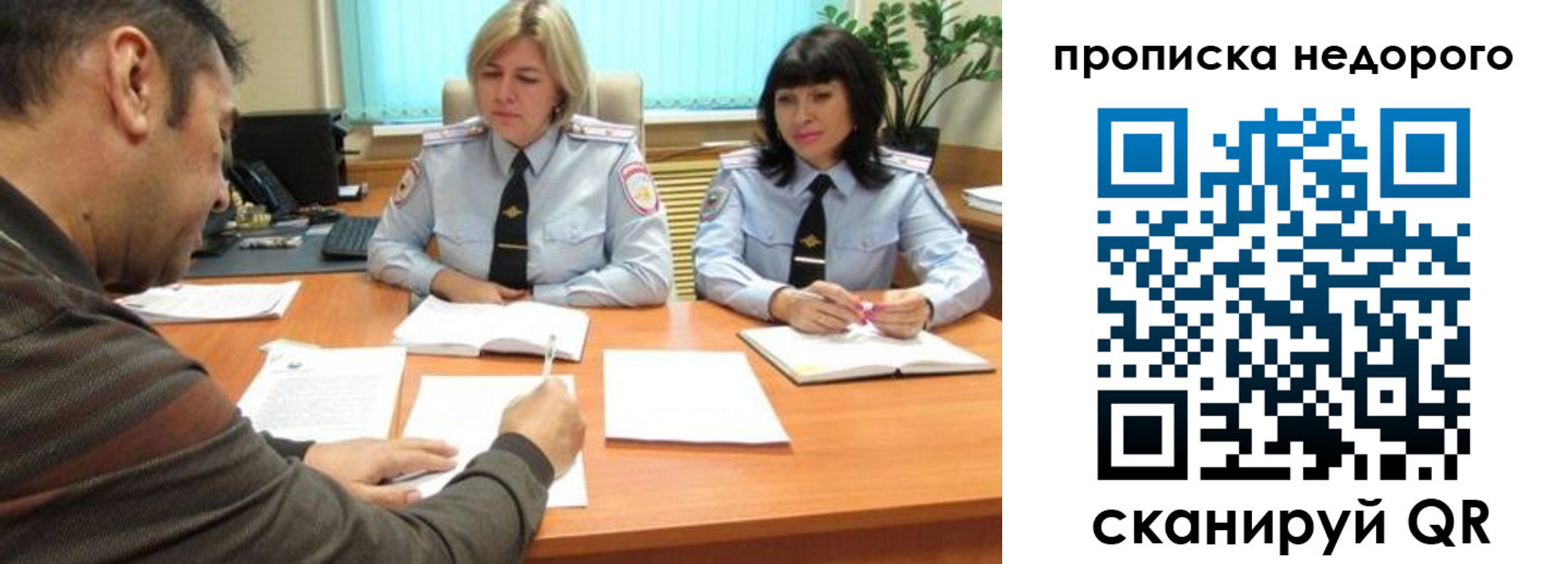 прописка поиск в Бабаево